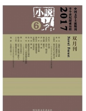 小说林