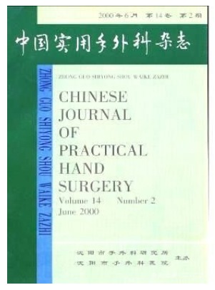 中国实用手外科
