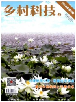乡村科技