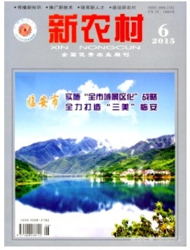 新农村