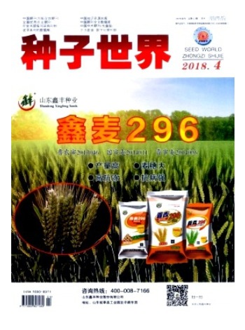 种子世界