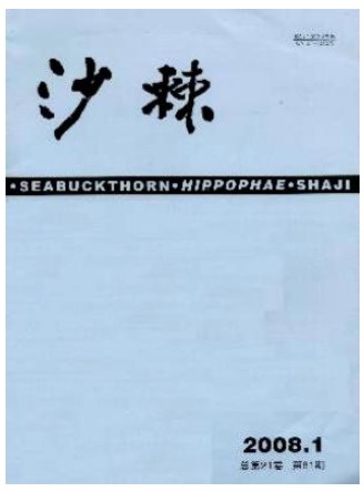 沙棘