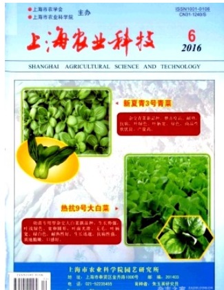 上海农业科技