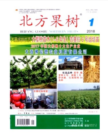 北方果树