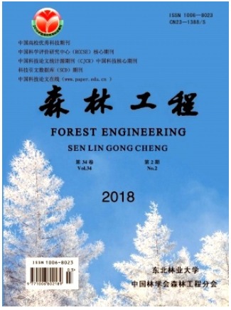 森林工程