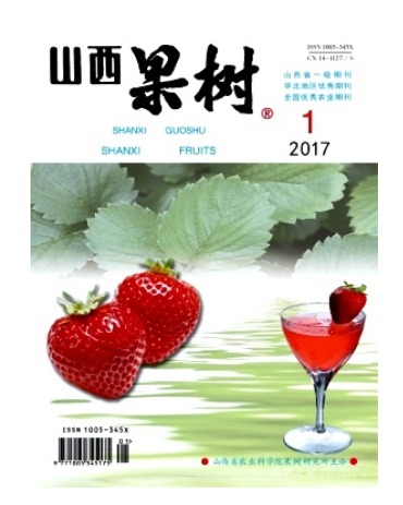 山西果树