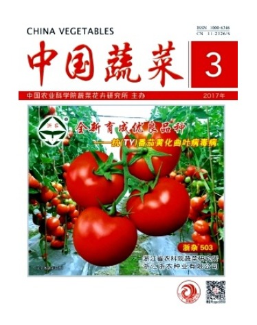 中国蔬菜