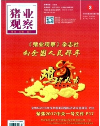 猪业观察