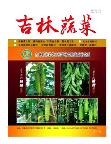 吉林蔬菜