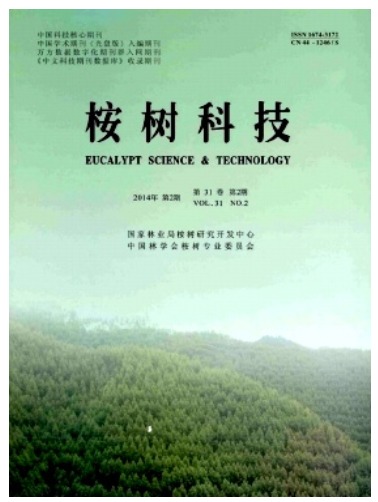 桉树科技
