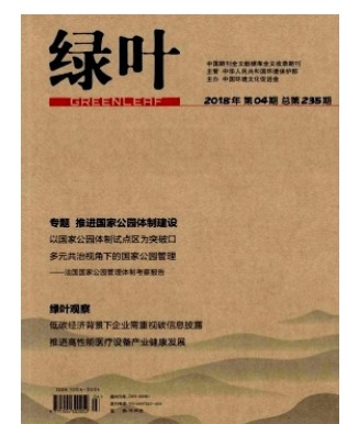 绿叶