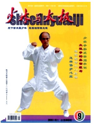 少林与太极