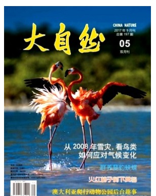 大自然