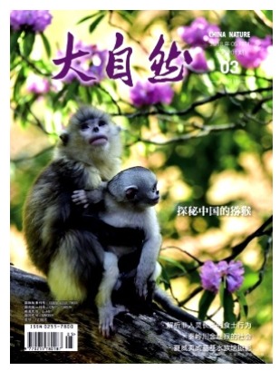 大自然