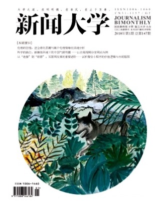 新闻大学