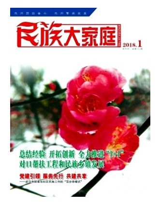 民族大家庭