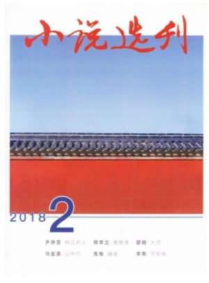 小说选刊