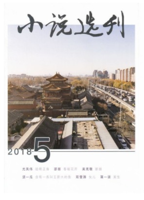 小说选刊