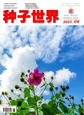 种子世界