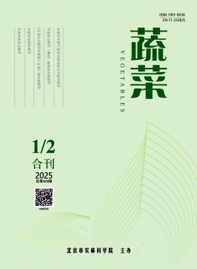 蔬菜