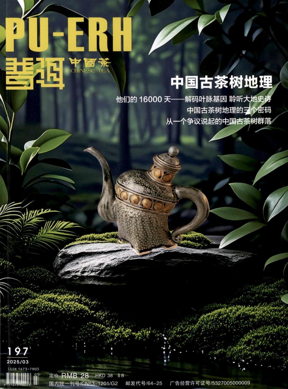 普洱