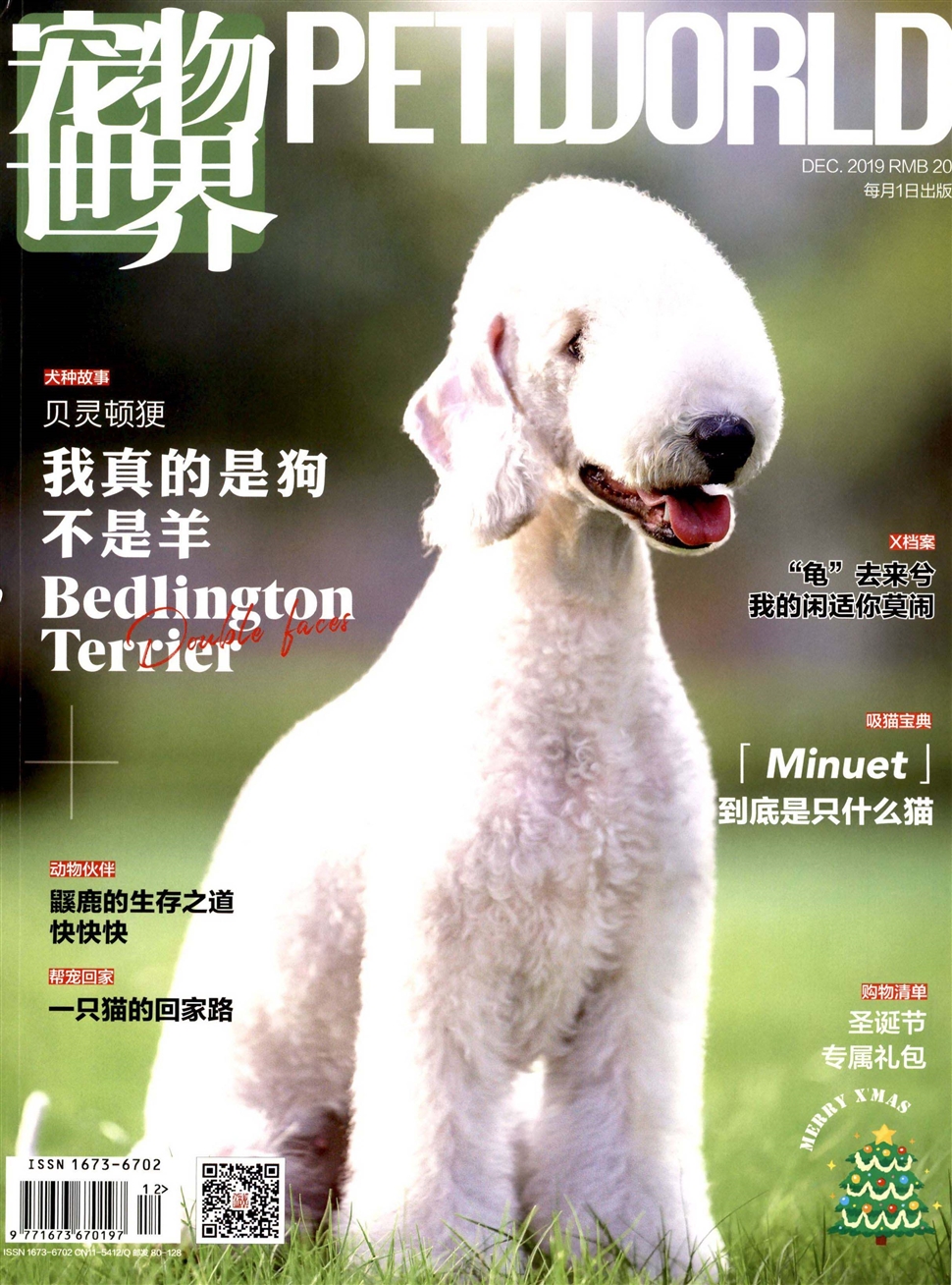 宠物世界(狗迷)