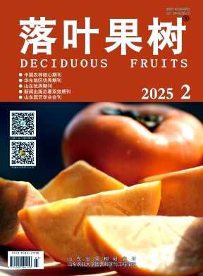 落叶果树