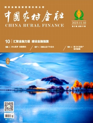 中国农村金融
